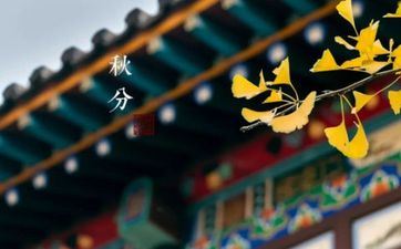 2023剪窗花的由来和涵义