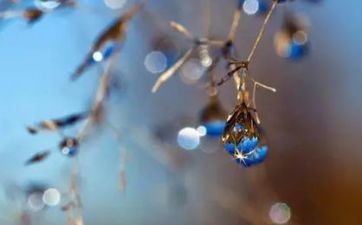 2022年寒露是几月几日何时几分