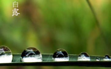 2023年白露今后是阴历8月吗 完毕时刻是什么时分