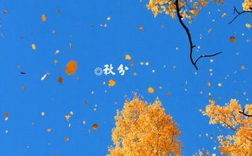 秋分的涵义和标志