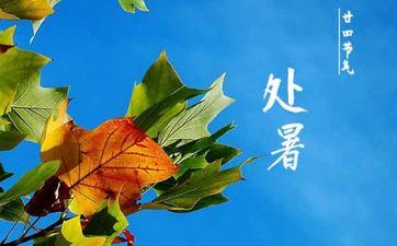 考试带姜是什么意思 考试前一天晚上忌讳