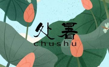 秋分是秋天初步吗 秋分和立秋的差异是什么? 秋分是秋天初步吗 秋分和立秋的差异是什么?