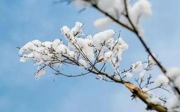 本年立冬是几号？南北方的立冬气候差异