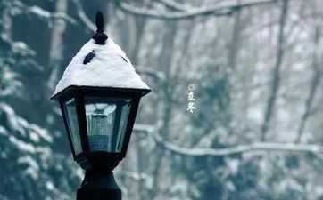 2023年三伏天从什么时候开端