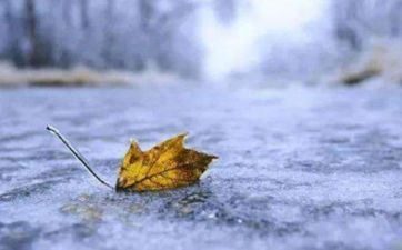 2024年立冬节气是什么时分 摄生该吃什么？