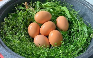 清明节过完是什么节日