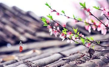 堕胎后放生什么鱼比较好 堕胎后有什么民间忌讳