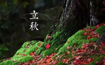 立秋的民间习俗有哪些 秋季开端的习俗