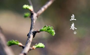 2024立春是双立春吗