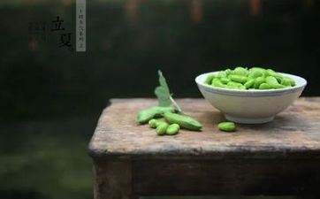 立夏节气不能养鱼吗 立夏养鱼要留意什么