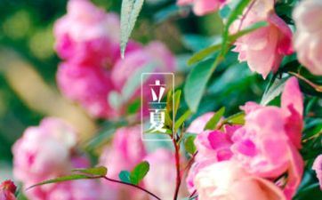 立夏节气坐月子好吗 立夏节气要当心什么疾病