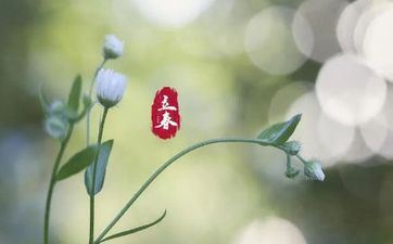 立新年气的风俗活动及忌讳