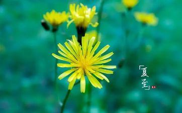 2024年必死的属相女 这些女生要留意了