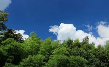 腹黑男 爱上就会想法子套牢你的属相男 腹黑男 爱上就会想法子套牢你的属相男