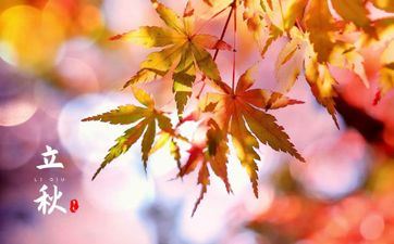 2023遇正缘红鸾入命的属相 2023年谁的正缘已到