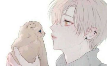 属猪男人和属虎女人般配吗