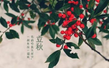 艾菲尔 立秋十二属相运势提示8.8-8.22