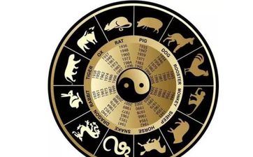 犯冲的属相组合