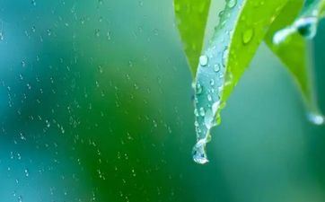 羊马夫妻不到头啥意思 女马男羊大一岁好吗