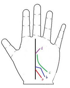 手相宠爱线图解