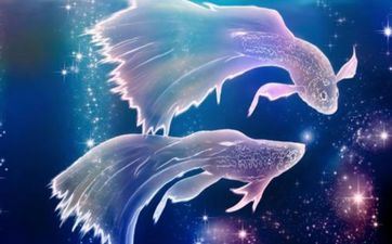 2024年双鱼座将有大事产生吗双鱼座2024年有牢狱之灾吗