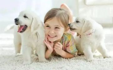 82年属狗最佳婚配表 82年属狗的姻缘在什么时候