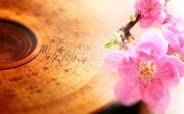 蛇年出生人的命运怎么 蛇年出生人的命运怎么