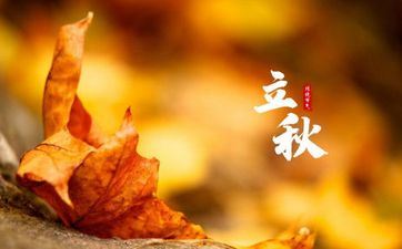 这些属相对待爱情是合则来，不合则散