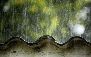 12属相的幸运色是什么 12属相的幸运色是什么