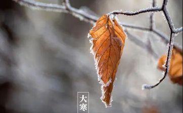 女猪和男兔的婚配好欠好 猪女旺兔男吗