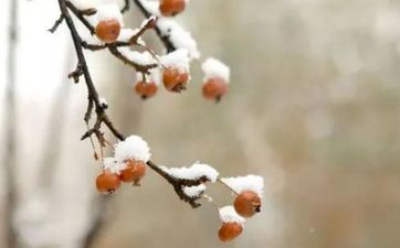 婚前婚后都会把你宠上天的属相男