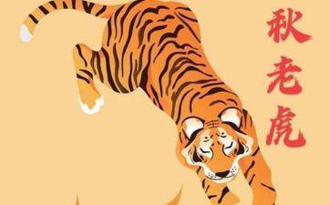 属虎女终身有哪三大坎 属虎射中贵人是谁