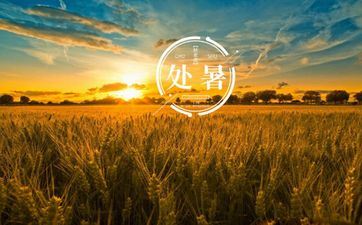 马男与鼠女谁晦气 马鼠婚姻怎么化解