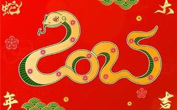 13年属蛇大难是哪一年