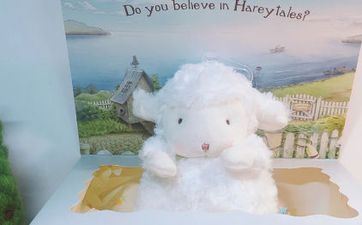 遇到喜欢的人＿这些属相什么都可以退让