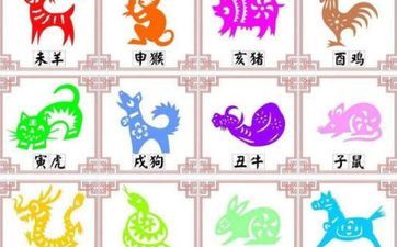 十二生肖男生怎么寻求独家攻略