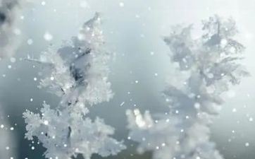 能看穿圈套的属相女 看人眼光很准的聪明人 能看穿圈套的属相女 看人眼光很准的聪明人