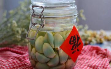 历史上男马女牛的夫妻 男马女牛在一起注意事项