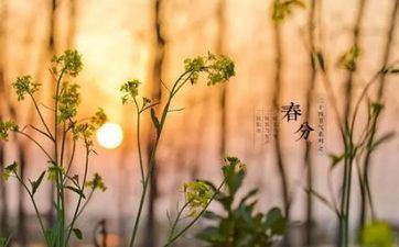 不是诚心 这些属相只爱对方的物质条件