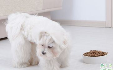 属蛇男和属狗女般配吗 属蛇男和属狗女般配吗