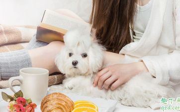 龙和牛在一同财气好吗  两人能做夫妻吗