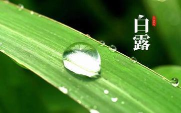 可以为女友改动全部的属相男