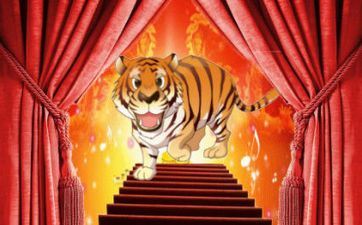 属龙和属虎合不合