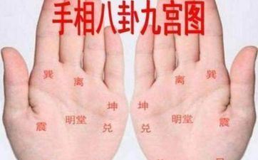 2024年最旺最顺的属相 财气超级旺的手相