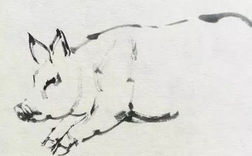 95猪男和97年牛女的婚姻般配吗？