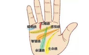 尖端聪明的属相男 日后有长进的手相