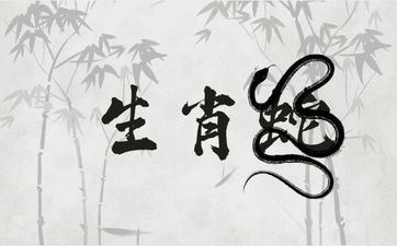 属相蛇和兔般配吗 蛇和兔在一同运势