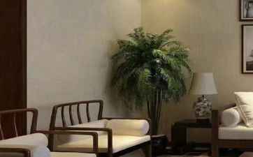 十二生肖的爱情转运风水办法