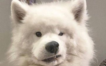 典型的富婆命的属相女 天然生成富婆命的痣