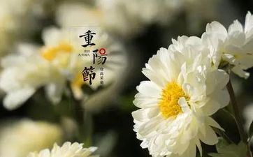 这些属相女一见钟情的就想闪婚